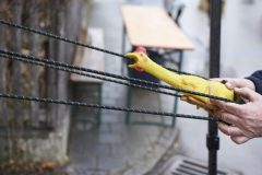 2000_20260214_RHE_0054