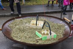 2000_20260214_RHE_0249