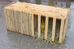 2000_20260214_RHE_0378