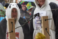 2000_20260214_RHE_0482