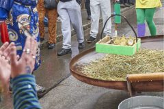 2000_20260214_RHE_0665