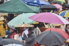 2000_20260214_RHE_0770