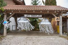 1_T_20250301_RHE_5849